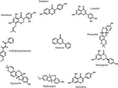 Determinants of Host Range Specificity in Legume-Rhizobia Symbiosis